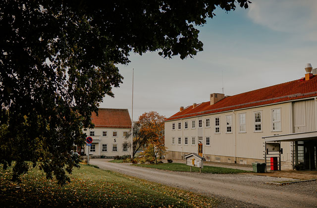 Bild av Ålsta folkhögskola i Fränsta, träd i förgrunden och en vit träbyggnad med tegeltak.