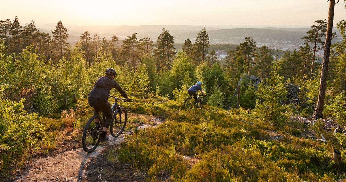 Cyklist som cyklar i naturen i skogsmiljö