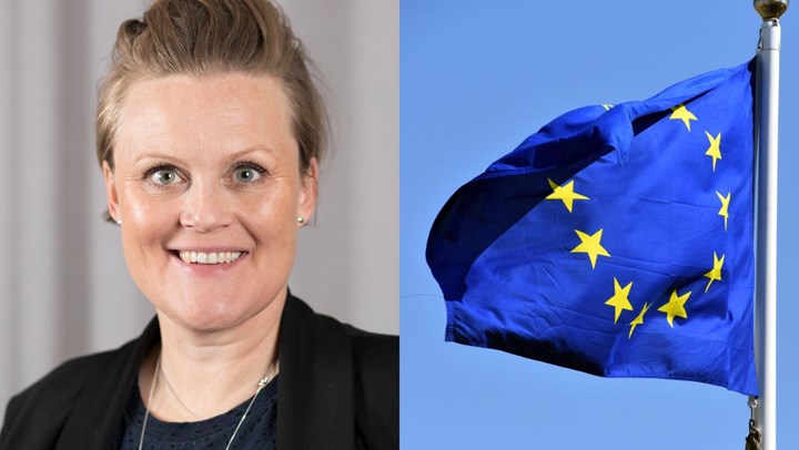 Politikern Sara Nylund i ett bildcollage med EU-flagga