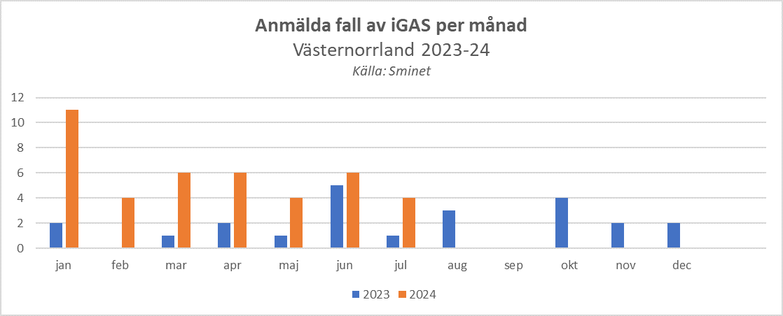 alt='diagram över anmälda fall av iGAS under 2023-24, kraftig ökning under januari-februari 2024'