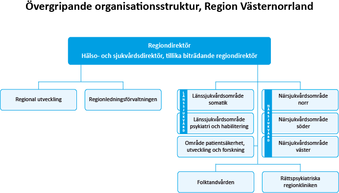 alt='Organisationsskiss visar områden inom Region Västernorrland, grupperade på hälso- och sjukvård och områden med annan verksamhet'