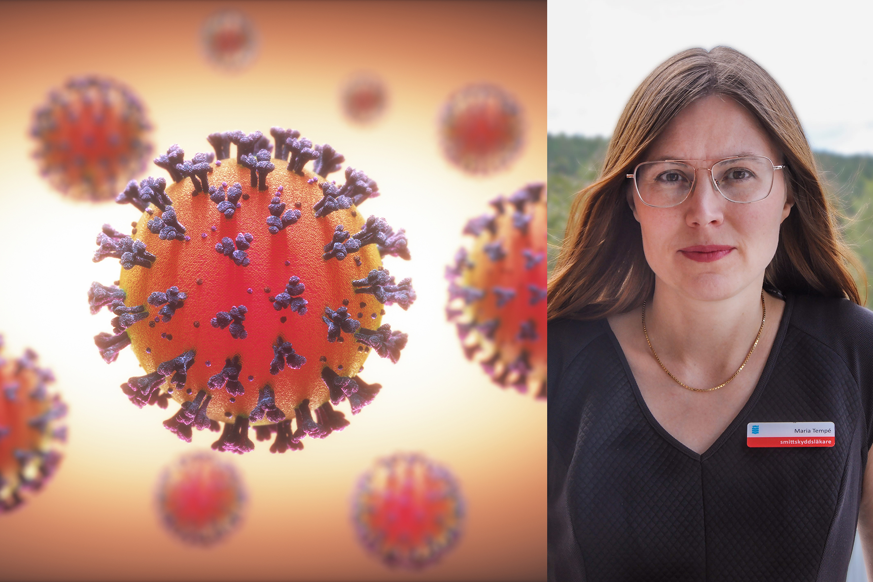 Illustration av ett uppförstorat coronavirus, samt en porträttbild av Maria Tempé smittskyddsläkare i Region Västernorrland