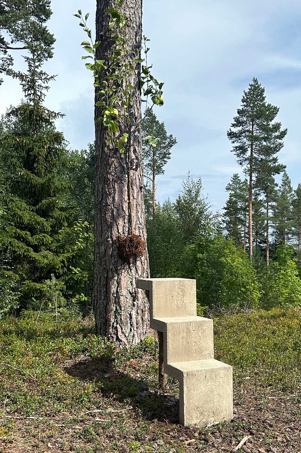 En trappa, i vad som ser ut som betong, med tre steg leder ut i tomma intet. Bakom trappan hänger ett äppelträd på en grov tallstam. Det är uppslitet med rötterna, men fortfarande fullt av frukt. I bakgrunden syns skog. 