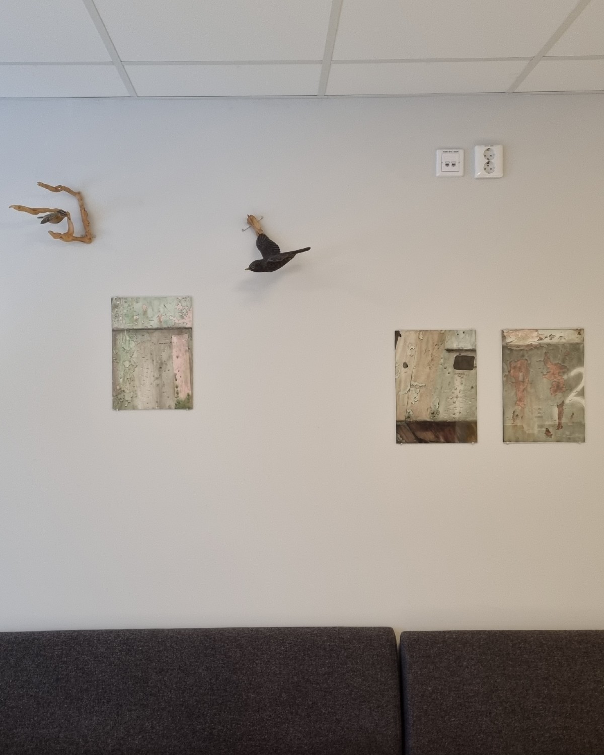 Foto. På en vit vägg ovanför en mörkgrå soffa hänger tre målningar och två skulpturer. Skulpturerna är i form av fåglar. 