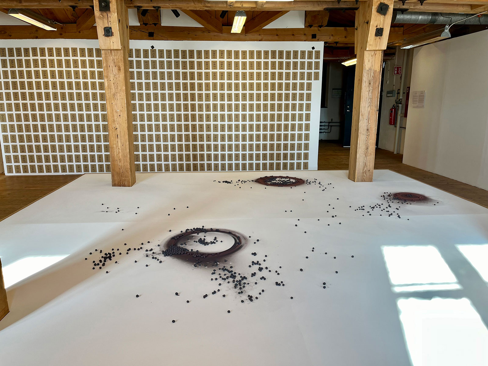 Foto: På det vita golvet ligger på och runt runda skivor små svarta pellets. I bakgrunden syns en vit vägg med rad efter rad med små bruna papperspåsar uppsatta. 