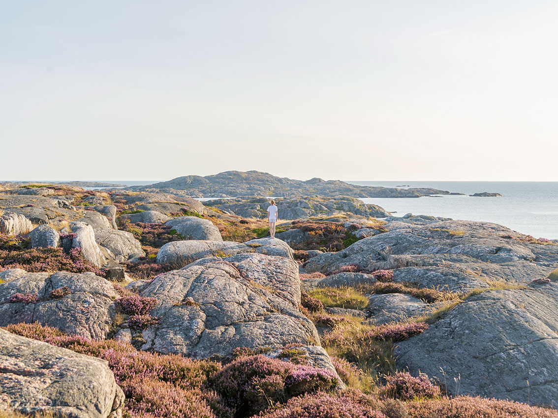 Foto. Ett kustlandskap med klippor och ljungtäckt mark i gulbruna färger. Himlen är blåvit och havet syns längre bort. Mitt i bilden står en person med vit t-shirt och vita kalsonger eller shorts. Personen står med ryggen mot betraktaren. 