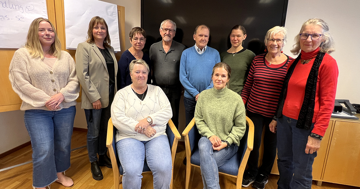 Fotot visar arbetsgruppen där både tjänstepersoner från kommunen och deltagare i Seniorrådet ingår.