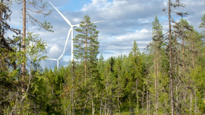 Skogslandskap med vindkraftverk